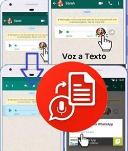 Cómo Transcribir audio en Whatsapp