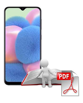 Manual del usuario Samsung Galaxy A30s