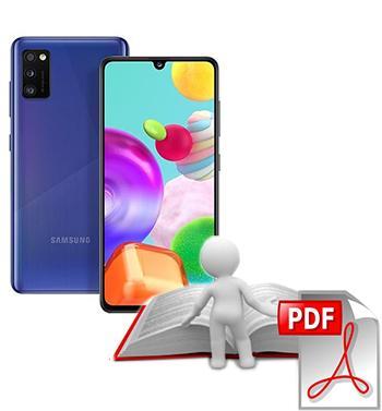 Manual del usuario Samsung Galaxy A41
